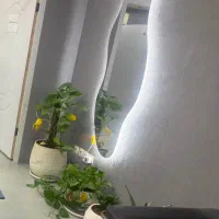 اجاره  لاین در کلینیک زیبایی