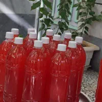 ابغوره  ارگانیک انگور کوهی شرابی|خوردنی و آشامیدنی|تهران, شادآباد|دیوار