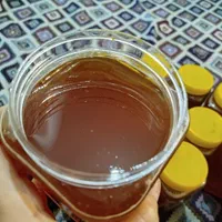 عسل گون درجه یک کوهای گرین لرستان|خوردنی و آشامیدنی|اصفهان, کوی امام|دیوار