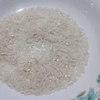 برنج بی نام|خوردنی و آشامیدنی|کردکوی, |دیوار