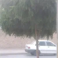 مغازه ومنزل درده متری