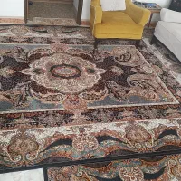 تعویض فرش با فرش روشن جدید ،