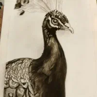 تجسم|تابلو، نقاشی، عکس|کاشمر, |دیوار