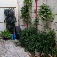 خانه-ویلایی-دو-طبقه-همراه-حیاط-و-انباری