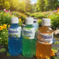 نوشیدی تخم شربتی عمده