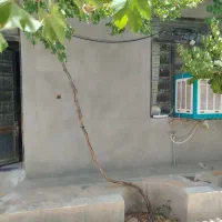 باغ شهری سیاخ دارنگان (فروش خیلی فوری)|فروش خانه و ویلا|سیاخ دارنگون, |دیوار