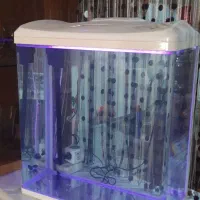 آکواریوم ماهیران|ماهی|اصفهان, رهنان|دیوار