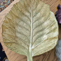 میوه خوری بفروش میرسد