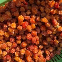 آلوچه دودی و آفتابی