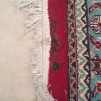 فرش ۱۲متری|فرش|گرگان, |دیوار