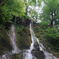 تور|تور و چارتر|مشهد, رستگار|دیوار