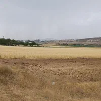 زمین با کاربری کشاورزی مناسب گلخانه وباغ|فروش دفتر صنعتی، کشاورزی، تجاری|الیگودرز, |دیوار