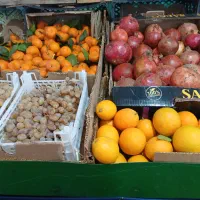 میوه و تره بار  کیلو 40