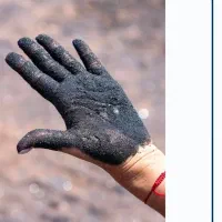 تورقشم،هنگام|تور و چارتر|شیراز, تحویلی|دیوار