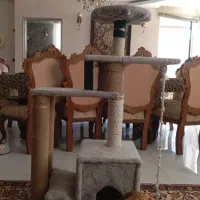 اسکرچر گربه