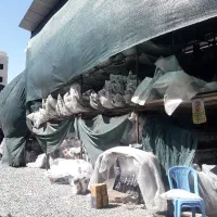 سپر رنگی
