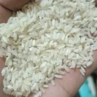 برنج کامفیروزی