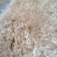 سلام موکت فرشی نرم وپرزبلند شش متری
