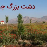 ۵۰۰متر زمین کشاورزی چزکین کنار استخر سنددار