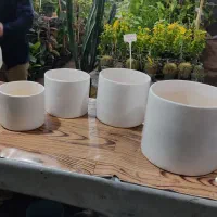 فروش ویژه پک ۴ تایی گلدان / گلخانه میر