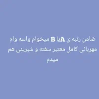 ضامن میخولم