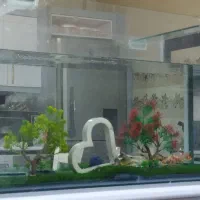 آکواریوم