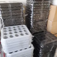 سینی جالیوانی ،جالیوانی