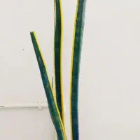 خرید ارزان ۱۳۰|حراج|سرپل ذهاب, |دیوار