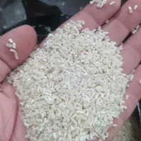 لاشه هاشمی دودی|عمدهفروشی|تهران, شهرک فردوس (حسینی)|دیوار