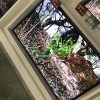 تلویزیون هوشمند jvc daewoo