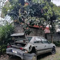 آردی مدل 84 انژکتور|خودرو سواری و وانت|کلاچای, |دیوار