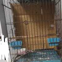 قفس طوطی بسیار محکم و ضخیم