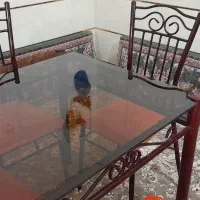 فرش نونونو|فرش|زنجان, |دیوار