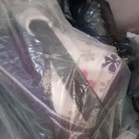 روروئک،کریر