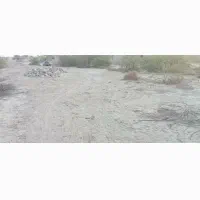 فروش زمین|فروش زمین و ملک کلنگی|سیریک, |دیوار