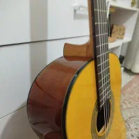 گیتار Pallado اصل اسپانیایی|گیتار، بیس، امپلیفایر|قزوین, |دیوار