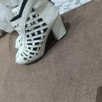 کفش مجلسی درحدنو