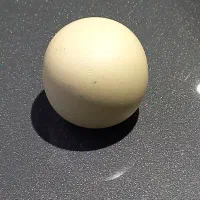 سنگ آسیاب|کلکسیون اشیاء عتیقه|بهار, |دیوار