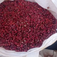 زیلوار. زرشک وحشی