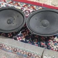 اسباب بازی باند فروش فوری