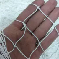 تورماهیگیری