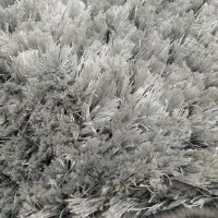 پادری نو|پادری|اسلام‌شهر, مطهری|دیوار