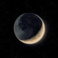 استخدام نیرو