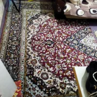چند عدد فرش ماشینی|فرش|تبریز, |دیوار