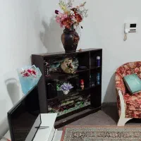 همخونه-خانم