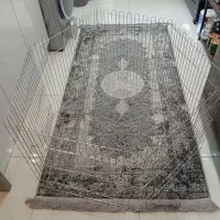 پارک سگ 8ضلعی
