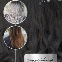 جشنواره آموزشی آرایشگری با دوره رایگان|خدمات آموزشی|مشهد, فردوسی|دیوار