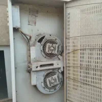 هود آشپزخانه|هود|یزد, |دیوار