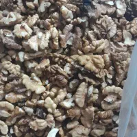 مغز گردو|حراج|یزد, |دیوار