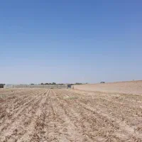 فروش زمین ۸۰۰۰ متری در منجیل آباد